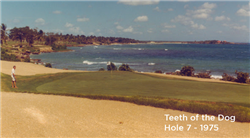 Casa de Campo's Iconic Teeth of the Dog® Golf Course Set for Major Restoration in 2025
